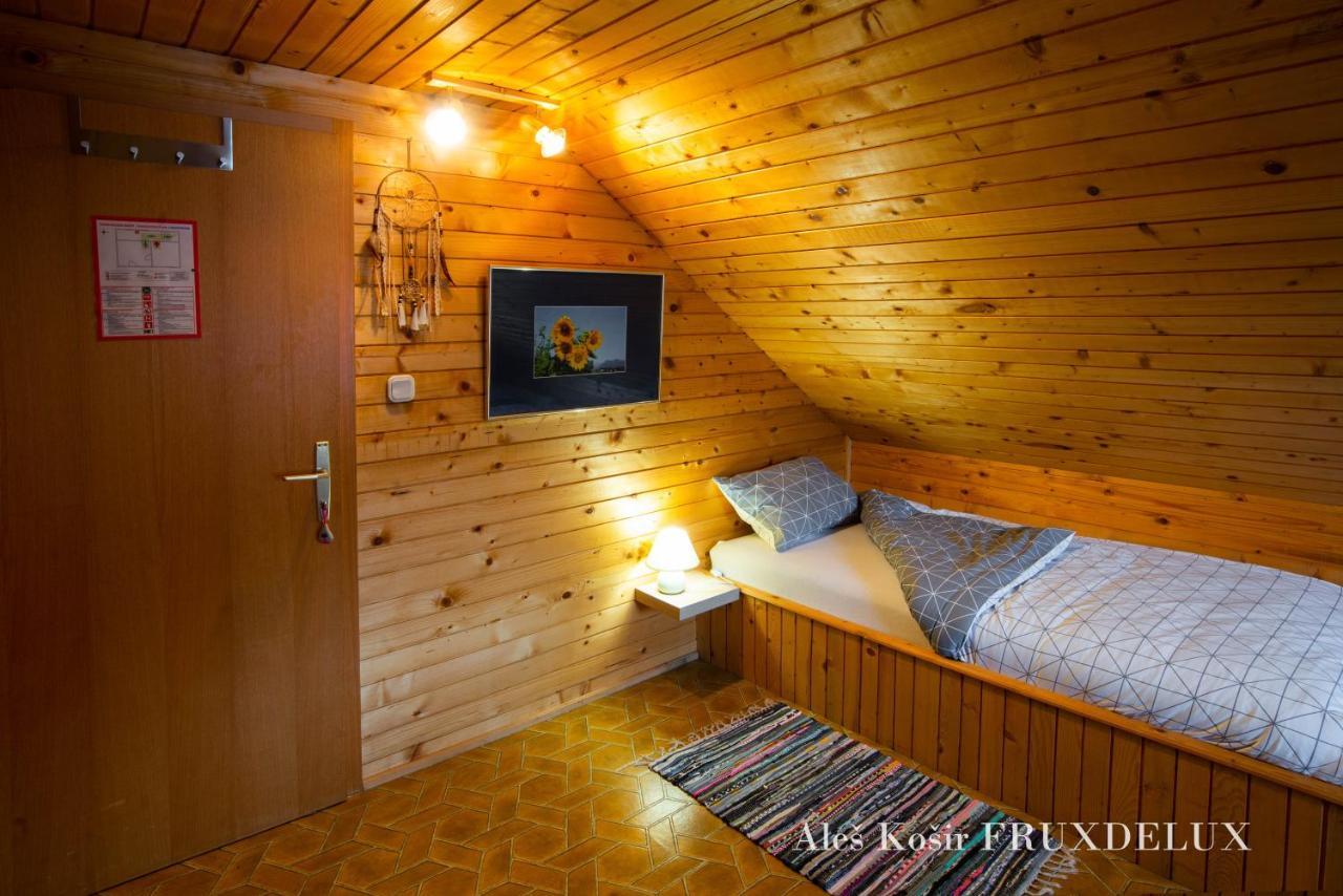 Pet & Family Friendly House Viktorija - House Near Golica With Triglav View Villa Jesenice Exterior photo