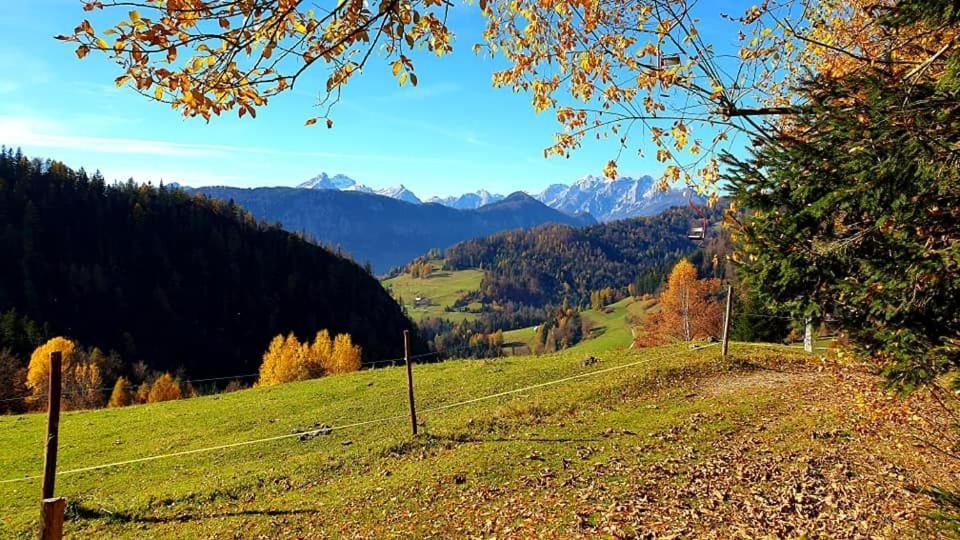 Pet & Family Friendly House Viktorija - House Near Golica With Triglav View Villa Jesenice Exterior photo